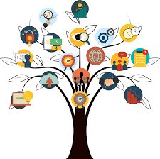 medical spa seo company