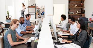 waterloo ca digital marketing agency